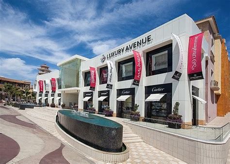 luxury avenue cabo san lucas